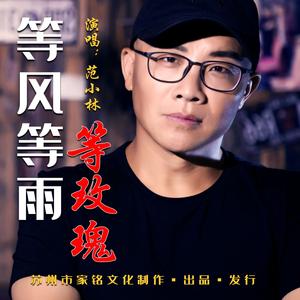 等风等雨等玫瑰