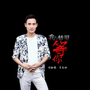 我在梦里等你(DJ版)