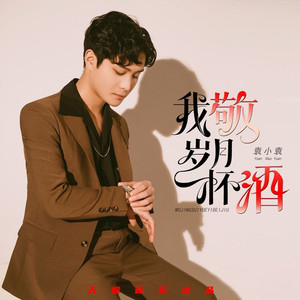 我敬岁月一杯酒 (DJ伟然版)