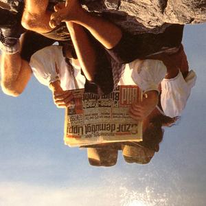 李佳隆-Berry（lilyuan remix）