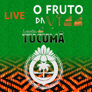 O Velho Guerreiro da Tribo Pajé