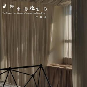 思你念你及想你 (正式版)