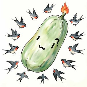 欢迎来到燕云十六声！