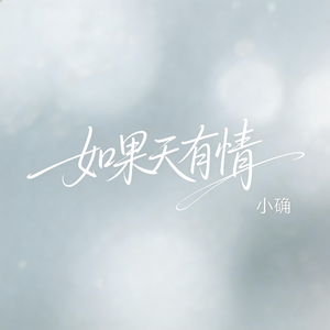 如果天有情（抖音飙升版）