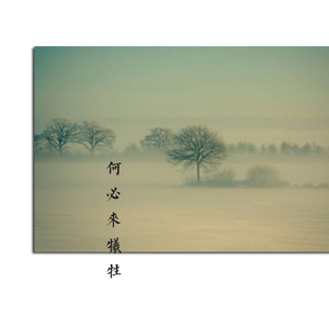 何必来牺牲（翻自 陈一郎）