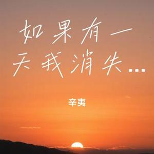 如果有一天我消失不见