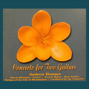 Concerto for Guitar, Bass Guitar & Strings: Movement 1