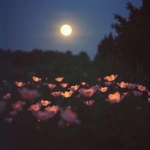 조심스럽게 고백