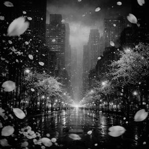 바람꽃 눈물꽃 (korean traditional music )