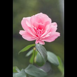 She is Gay But I Dont Care