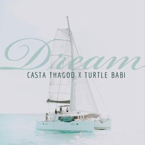 Dream (feat. turtle babi)