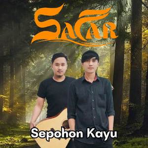 Sepohon Kayu