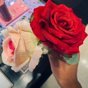 暖一杯茶