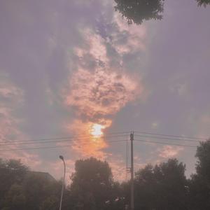 ชอบแบบนี้（翻自 หนามเตย สะแบงบิน）