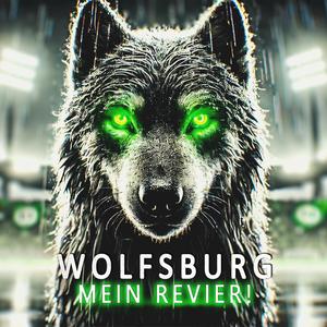 Wolfsburg, mein Revier! (VFL Wolfsburg Song)