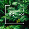 Audyssey - Jungles