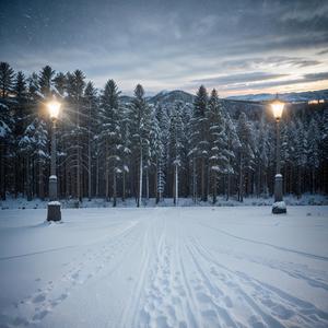 过汪氏别业二首