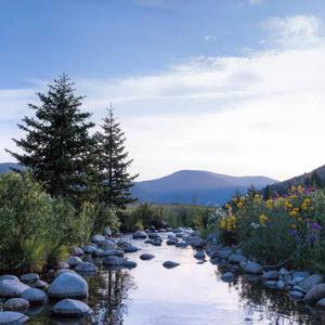 张三的歌（乐队 R&B 版)