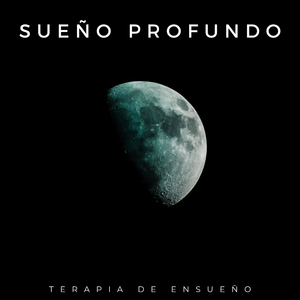 Reduzca La Ansiedad Con Sonidos Ambientales Terapéuticos