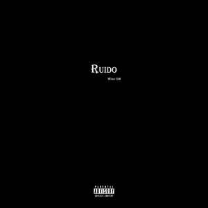 Ruido