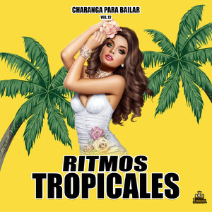 Bailongo