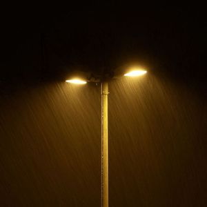 Love Is The Path to Inner Peace