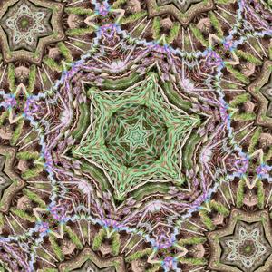 Ahiṃsāpratiṣṭhāyāṃ Sutras of Patanjali