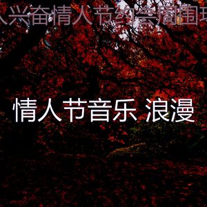 精彩鲜花花束环境