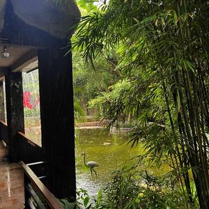 烟火《旋风少女》 插曲