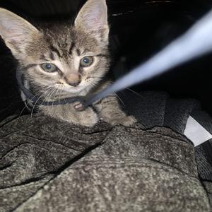 It’s Not Just The Racks