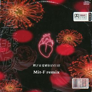 只是我以为remix(prod. by tired)