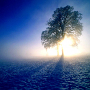 Winter Love (Original Mix)