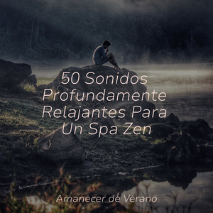 Encantamiento de la Noche Adormecida