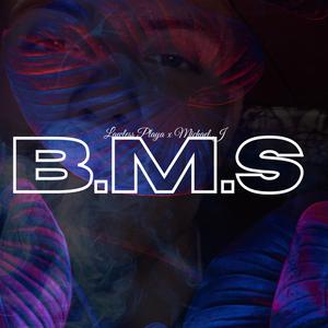 B.M.S (Need you)