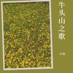 牛头山之歌