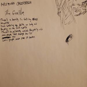 David Foster Wallace