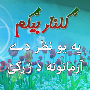 Pa Yawe Nazar Day Armanona