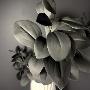 Rosalyn (feat. Markeeezy)