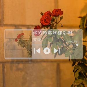 你的微信我都没有删