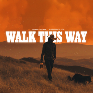Walk This Way (乡村音乐 x Country Pop Type Beat)