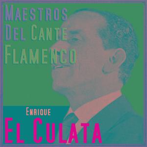 Quisiera Ser Perla Fina (Bulerías Colombianas)