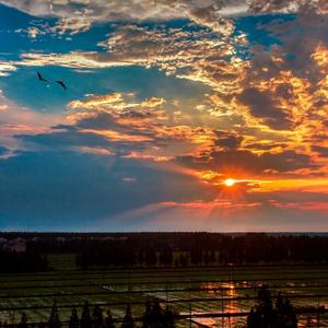 别把疼你的人弄丢了（女生版）