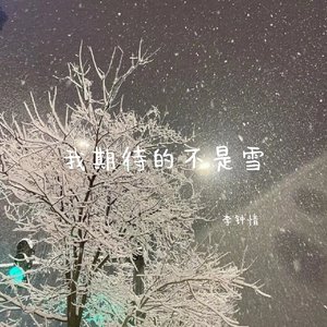 我期待的不是雪(降调0.9x)