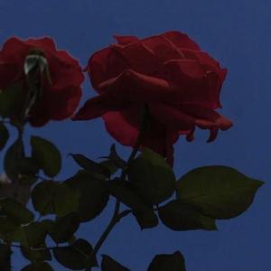 Leave Me Alone(2.0耳边版)