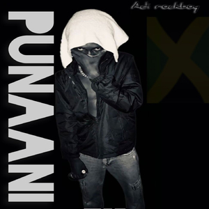 PUNAANI