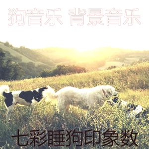 有趣训练犬情怀