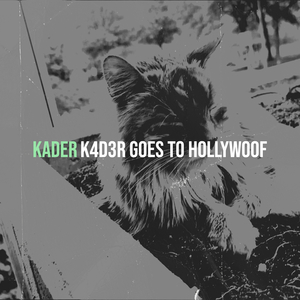 Kader