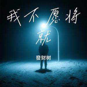 我不愿将就