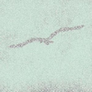 【起礼】白鸟过河滩