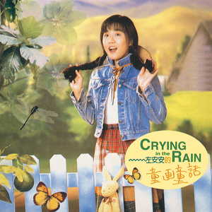 想说对不起的花